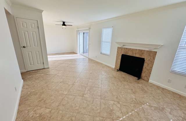 43376 Cook Gallery 3