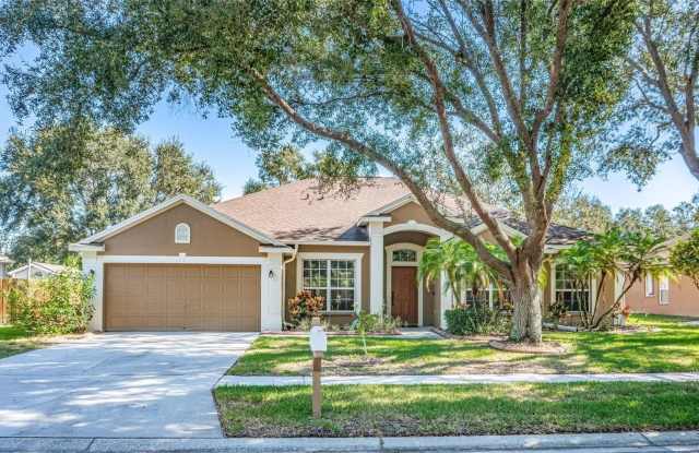 12440 WINDMILL COVE DRIVE - 12440 Windmill Cove Drive, Riverview, FL 33569