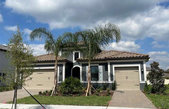 19819 CYPRESS BRIDGE DRIVE - 19819 Cypress Bridge Drive, Keystone, FL 33556