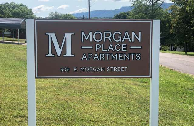 539 E Morgan St - 539 East Morgan Street, Church Hill, TN 37642