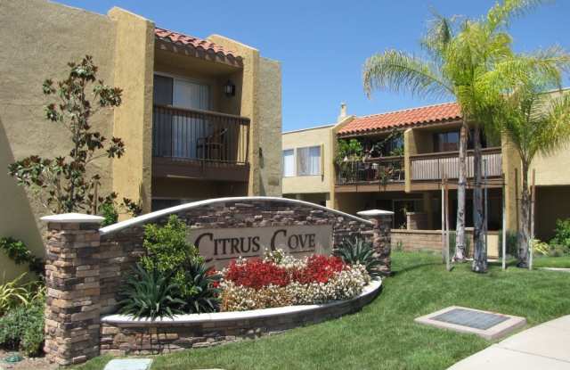 Fully Upgraded 1 Bedroom Apartment in Orange photos photos