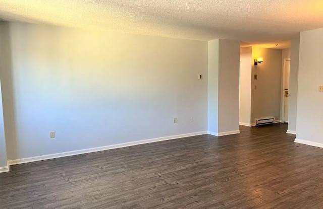 10 Rutledge St Apt 3D Gallery 3