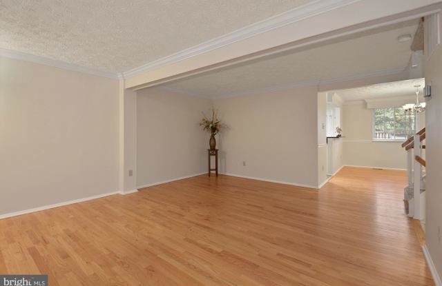 11753 MOSSY CREEK LANE Gallery 4