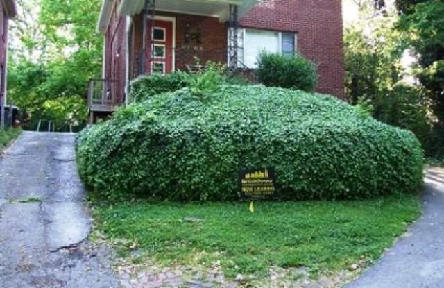 415 Franck Ave - 415 Franck Avenue, Louisville, KY 40206