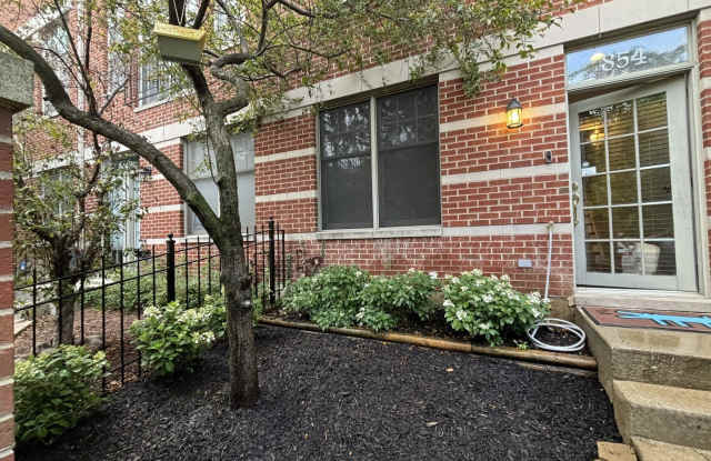 854 N Ogden Avenue - 854 North Ogden Avenue, Chicago, IL 60642