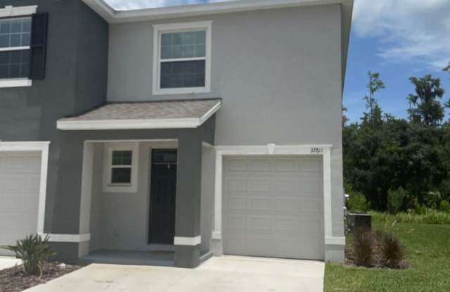 32811 Pez Landing Lane - 32811 Pez Landing Lane, Wesley Chapel, FL 33543