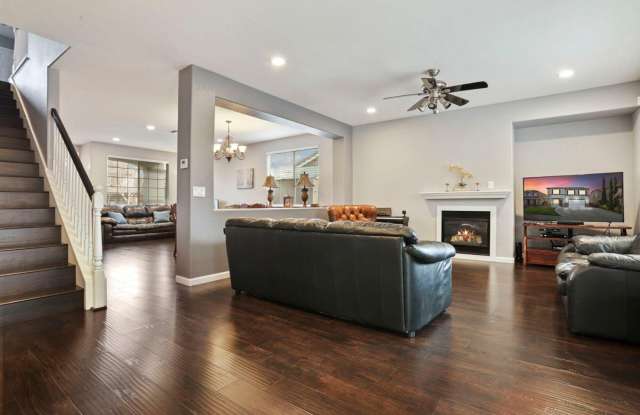 Just waiting for you ! Gallery 4