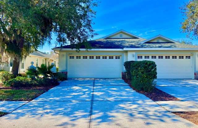 3423 Chapel Creek Cir - 3423 Chapel Creek Circle, Wesley Chapel, FL 33544