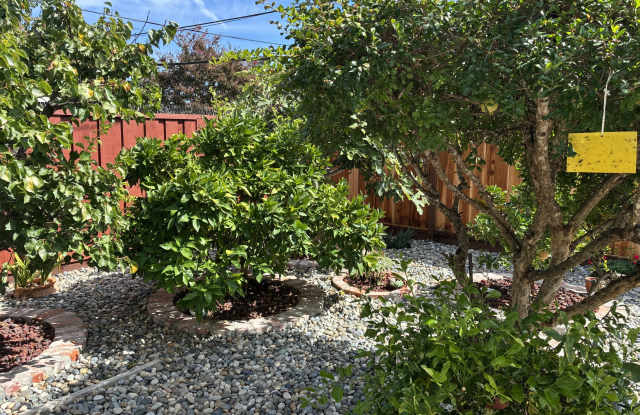 1470 Branham Lane Gallery 3