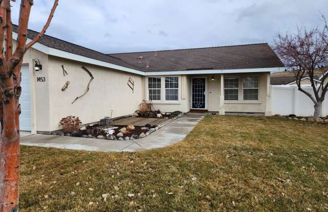 Beautiful Fernley home - 1453 Grey Bluffs Drive, Fernley, NV 89408
