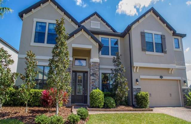 10701 LAUREL VISTA WAY - 10701 Laurel Vista Way, Tampa, FL 33647