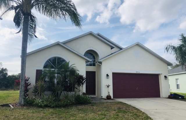 440 Casa Marina Place - 440 Casa Marina Place, Sanford, FL 32771