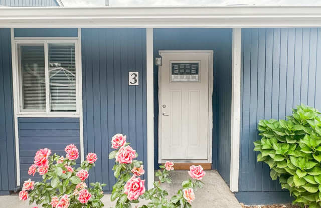 Catalina Apartments photos photos Catalina Apartments photos photos