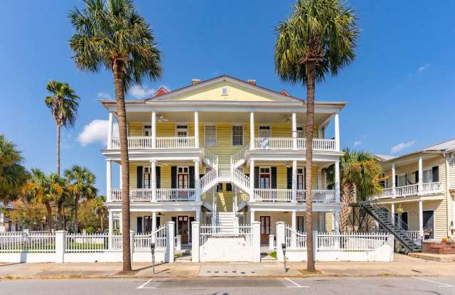 Spacious Three Bedroom Apartment on Calhoun Street photos photos