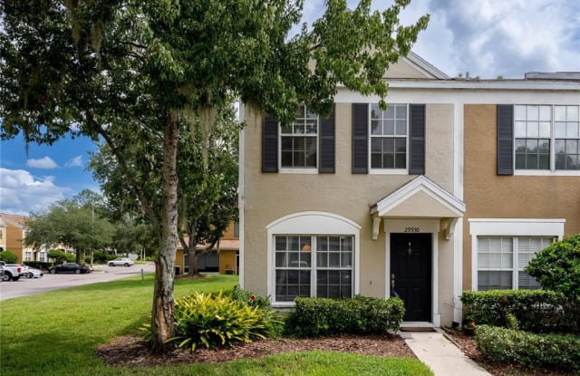 29930 PLAYA DEL REY LANE - 29930 Playa Del Rey Lane, Wesley Chapel, FL 33543