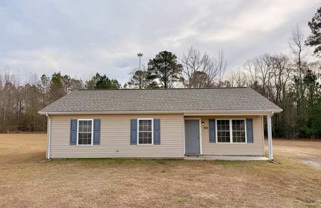 The Home You’ve Been Searching For! - 502 Leeds Lane, Greensville County, VA 23867