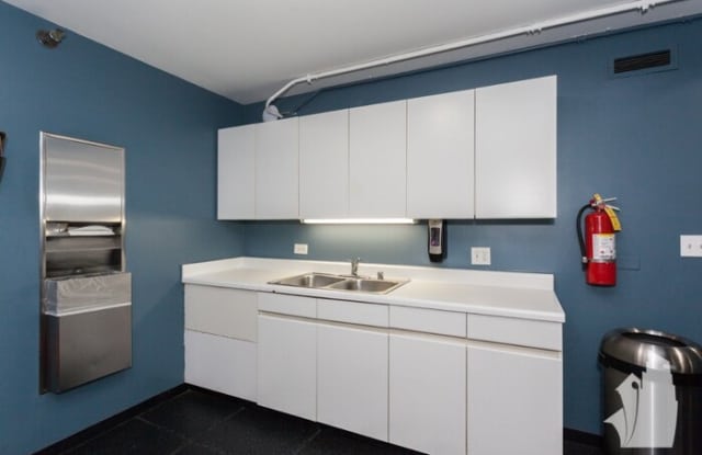 440 North Wabash Avenue Gallery 2