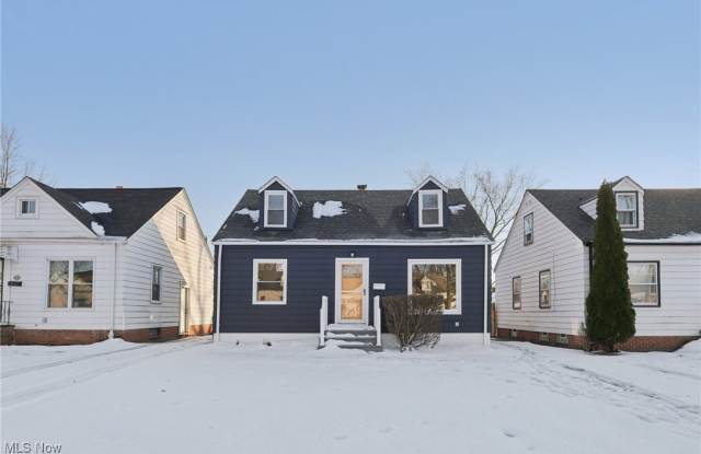 21316 Watson Road - 21316 Watson Road, Maple Heights, OH 44137