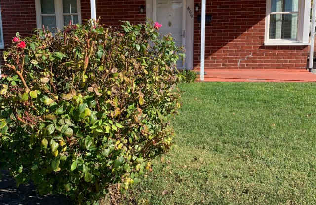 2 Bedroom/1 bath Brick Duplex Kingsport, TN photos photos