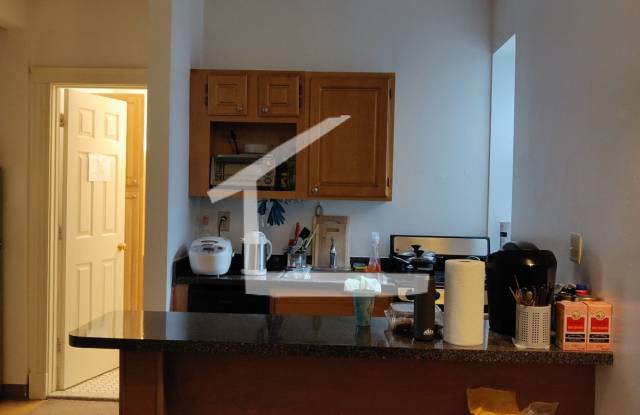 $500 rebate! Modern Apt w Heat  HW Included! Near BU Campus! Parking Available photos photos