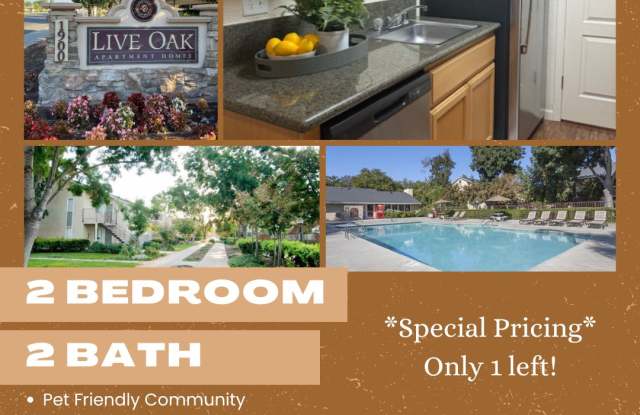 Live Oak photos photos