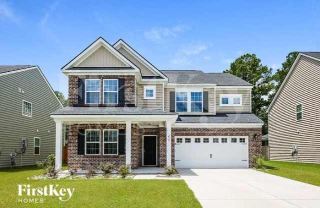 235 Firewheel Court - 235 Firewheel Court, Berkeley County, SC 29486