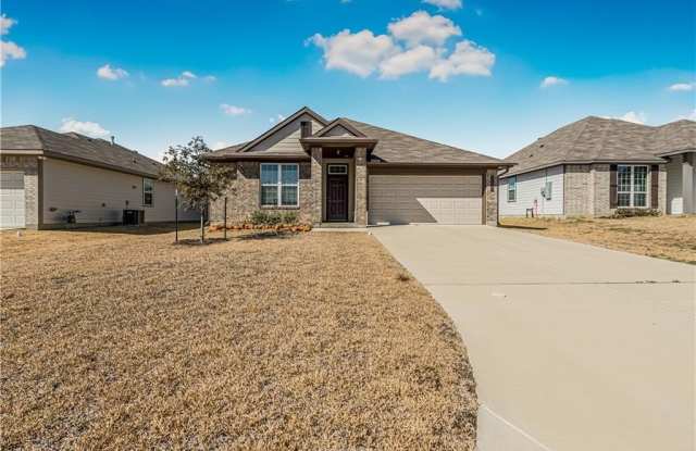 411 Fort Dix Lane - 411 Fort Dix Lane, Burleson County, TX 77836