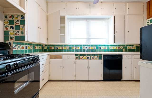 UT PRE-LEASE: 4 bed / 2 bath North Campus Home, Wood Floors, Spacious Rooms, Washer / Dryer, Backyard Gallery 3