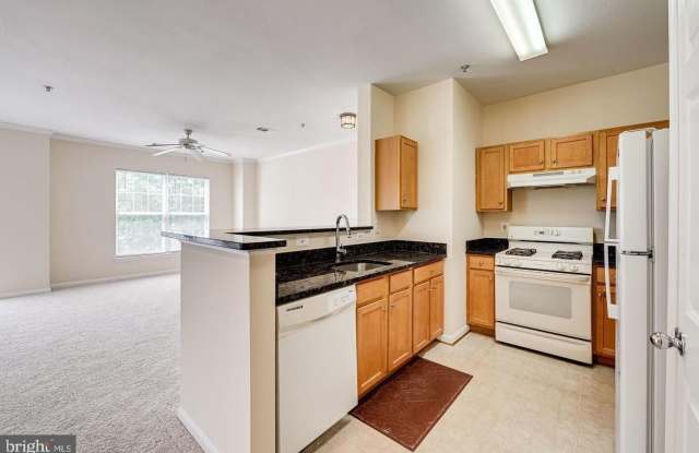 5115 TRAVIS EDWARD Way Gallery 2