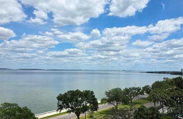 4015 BAYSHORE Boulevard Gallery 2
