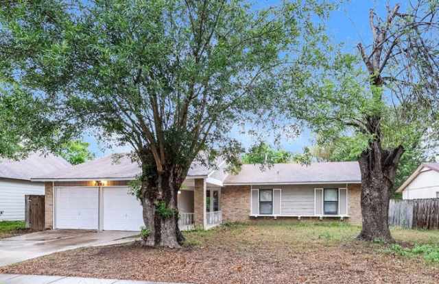 8243 Lone Shadow Trail photos photos