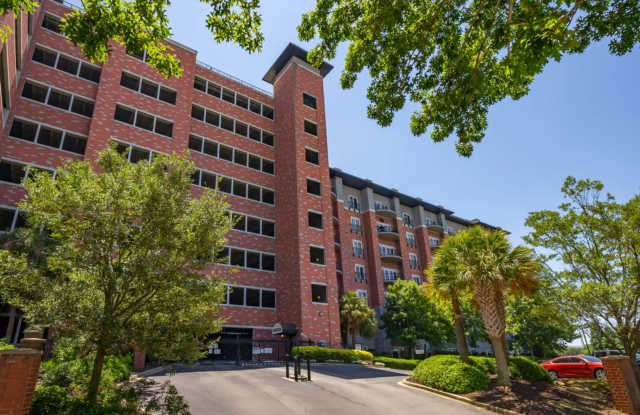 1 Bed, 1 Bath at Carolina Walk - Steps from Williams Brice Stadium! photos photos 1 Bed, 1 Bath at Carolina Walk - Steps from Williams Brice Stadium! photos photos