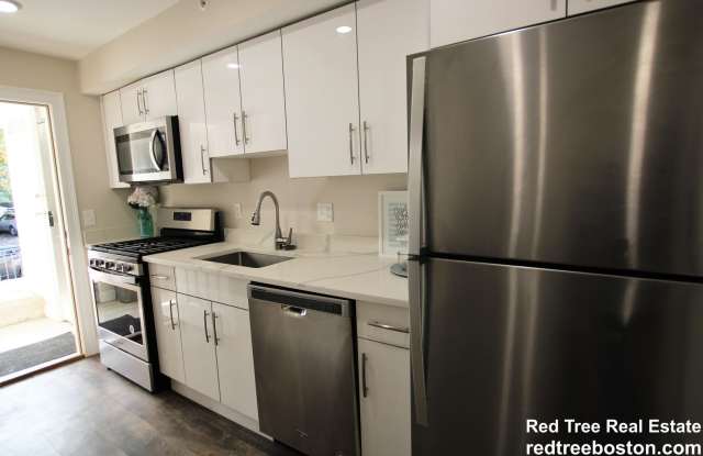 Luxury Apt near Brookline  T! W/D in Unit! Watch Video Tour! - 59 Strathmore Road, Boston, MA 02135