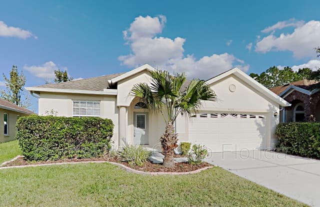 4020 Langdrum Dr - 4020 Langdrum Drive, Wesley Chapel, FL 33543
