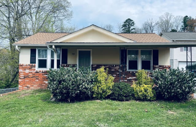 113 Appalachian Way - 113 Appalachian Way, Asheville, NC 28806
