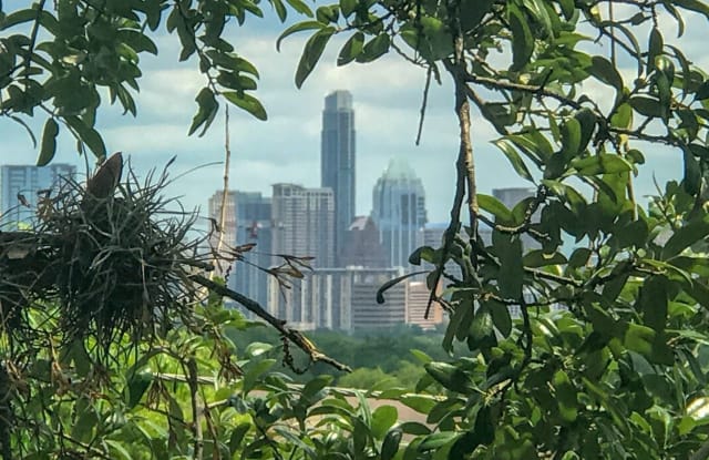 Loft - 3018 S 1st St, Austin, TX 78704