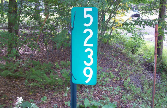 5239 Goldenrod Avenue Gallery 3