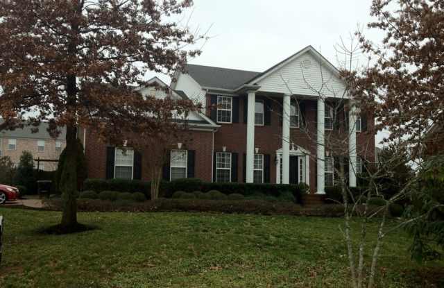 McKay's Mill McMansion photos photos