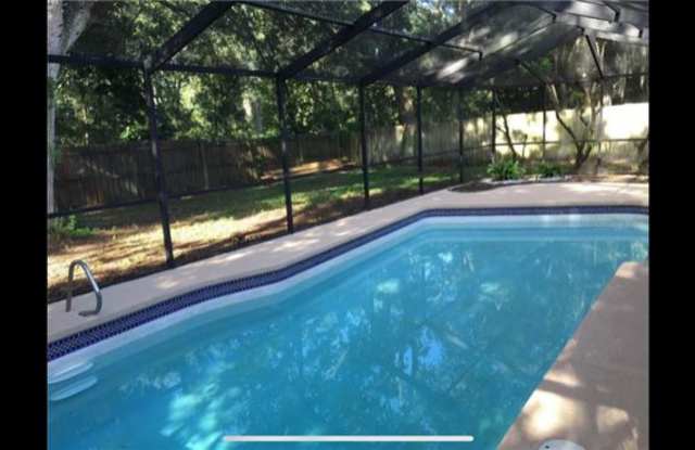 705 Sandy Creek Dr - 705 Sandy Creek Drive, Bloomingdale, FL 33511