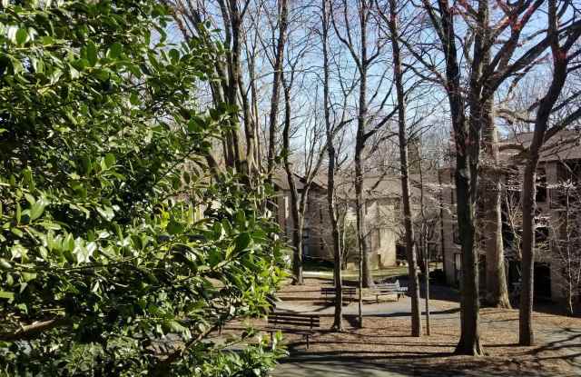 2049 ROYAL FERN COURT Gallery 3