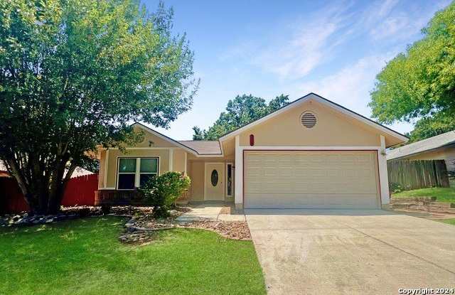 9215 AUTUMN BRANCHES photos photos 9215 AUTUMN BRANCHES photos photos