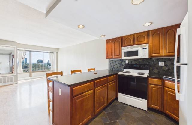 Bright Junior One Bedroom in CityView North Tower w/ Parking! Gallery 3