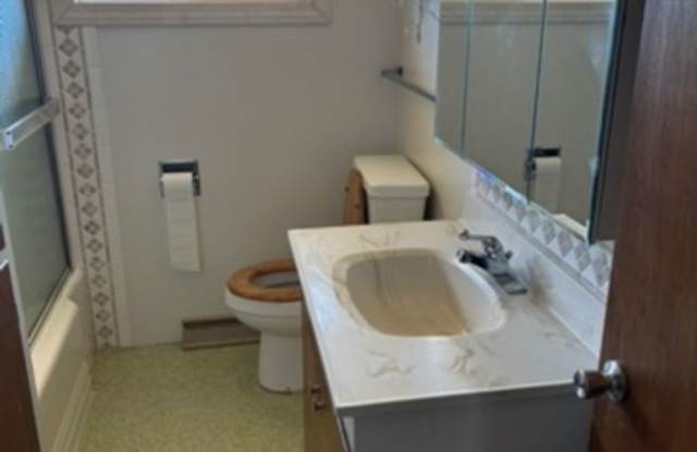Charming 3 Bed Home with a Big Backyard Gallery 4