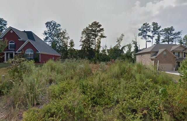 441 Astoria Way - 441 Astoria Way, Stockbridge, GA 30253