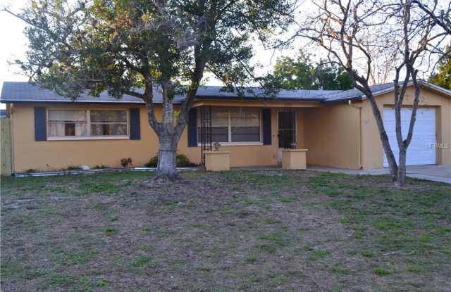 11701 ALPINE PARKWAY - 11701 Alpine Parkway, Bayonet Point, FL 34668