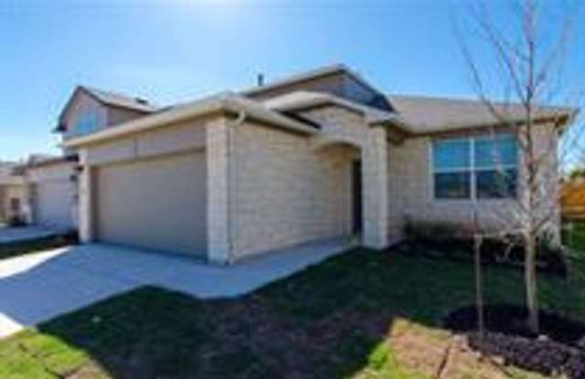 392 Fall Aster Drive Kyle, TX 78640 Gallery 3