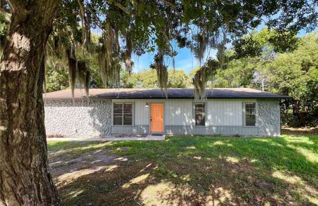 7925 NAPOLEON STREET - 7925 Napoleon Street, Orange County, FL 32825