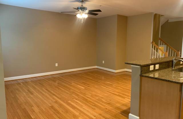 528 TRIADELPHIA WAY Gallery 4
