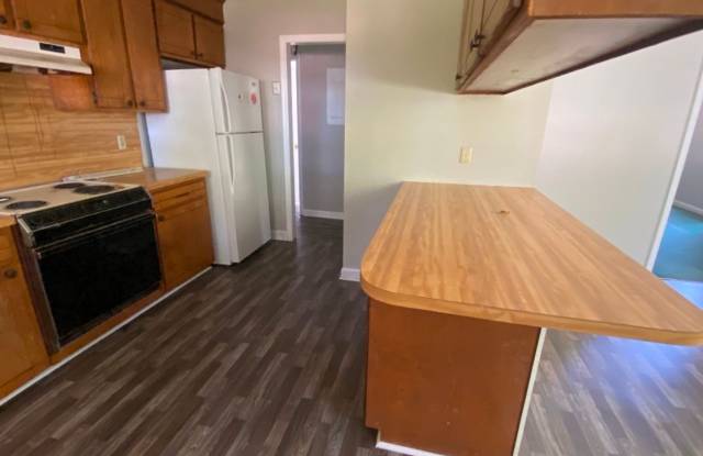 3 bedroom with 2 bath brick home located in the heart of Hartsville photos photos