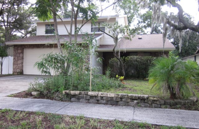 14715 Tall Tree Drive - 14715 Tall Tree Drive, Hillsborough County, FL 33559
